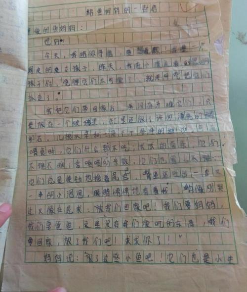 难忘的小学生活六年级优秀作文600字