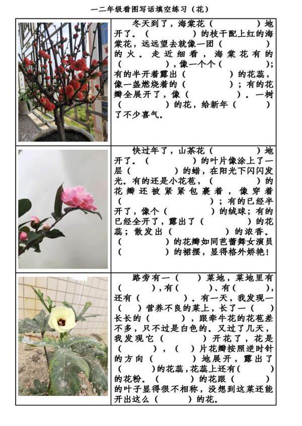 寒假如何预习看图写话和作文,家长来看看! 1
