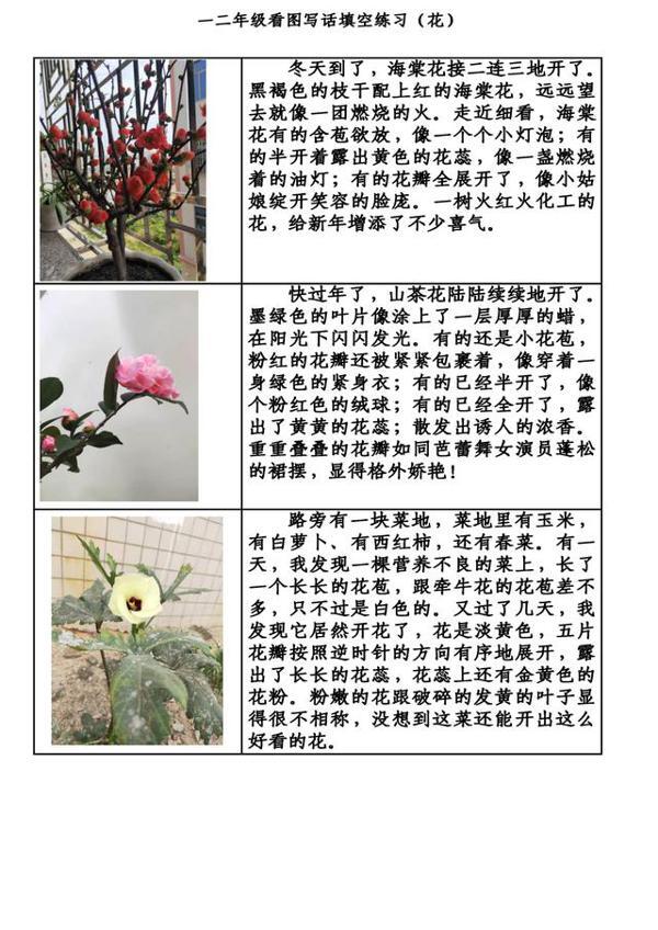 寒假如何预习看图写话和作文,家长来看看! 2