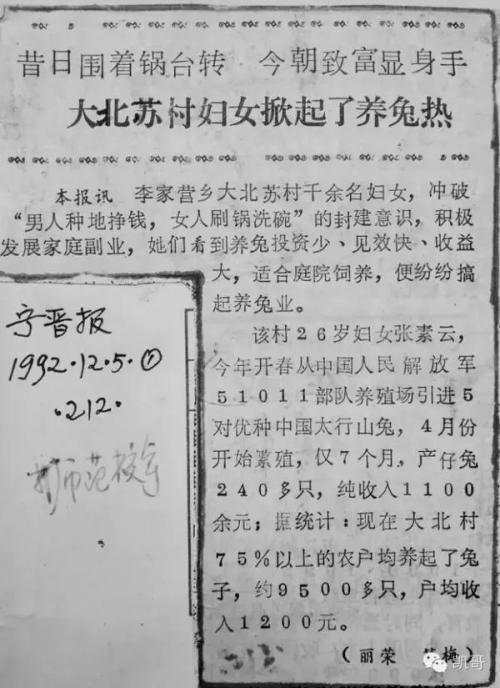 癞蛤蟆吃到了天鹅肉 改编寓言故事作文500字