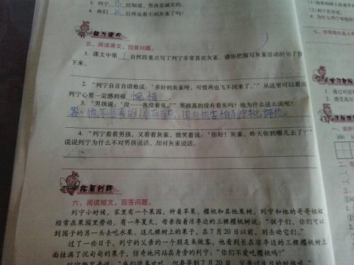 描写菊花的优美段落