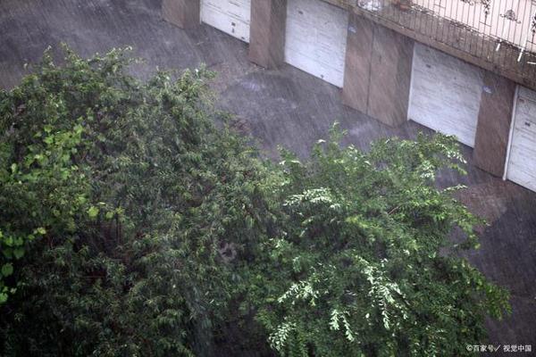 二年级写景作文:说说你见过什么样的雨,当时是怎样的情景