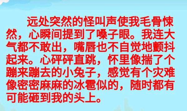 一波三折写探险,五下六单元作文:神助手加猪队友的冒险奇幻之旅 12