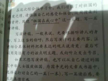 拼图_450字